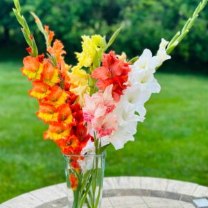 1:1 Life Coaching for Moms – Burnout to Bloom Support